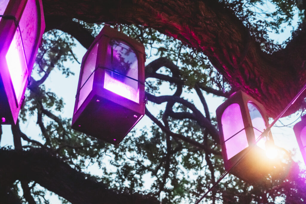 Strohmier - February 19